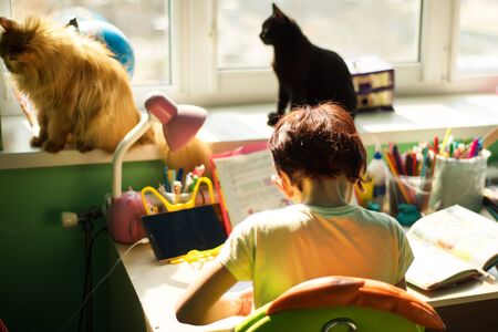 Social distance during quarantine, self-isolation, remote online education concept. School kid trying to learn at home in bright colorful room in sunny day with cats nearby.の写真素材