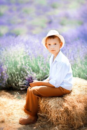 Vertical portrait of 6 years old boy in white shirt, white hat and brown trouters sitting on straw in lavender field in hot summer day. Childhood close to nature. Typical provencal landscapeの写真素材