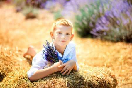 Portrait of cute little blonde boy wearing white shirt sitting on straw in lavender field with bouquet of lavender in sunny summer day. Summer in Provence. Travel. Vintage styleの写真素材