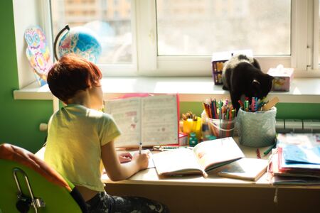 Social distance during quarantine, self-isolation, remote online education concept. School kid trying to learn at home in bright colorful room in sunny day with cat nearby.の写真素材