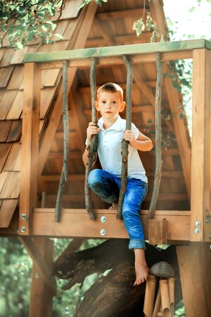 Vertical picture of little boy playing in treehouse at forest park, Active kid on playground, Child enjoying activity in a climbing adventure park on summer sunny day. Ecological playground.の写真素材