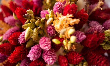 Close-up view of many colourful artificial synthetic flowers of red, pink, purple, white and orange colors. Floral blossoming backgroundの写真素材