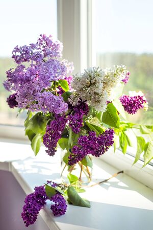 Vertical picture of bouquet of white, purple and violet lilac in glass jar on window sill with one branch laying down. Spring lilac floral blossom background. Aroma. Allergy.の写真素材