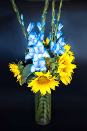 Vertical picture of beautiful bouquet of blue gladioli and flowers of sunflower, glass vase of flowers on black background. Summer bouquet of sunflowersの写真素材