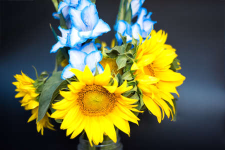 Horizontal close-up picture of beautiful bouquet of blue gladioli and flowers of sunflower, glass vase of flowers on black background. Summer bouquet of sunflowersの写真素材