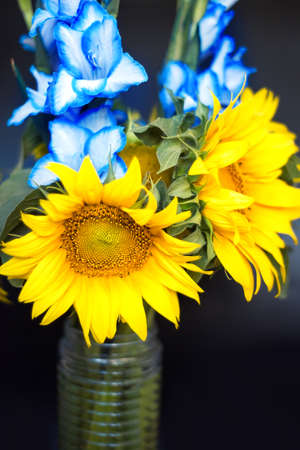 Vertical close-up bouquet of blue gladiolus and yellow sunflowers in the colors of the flag Ukraine. summer bouquet. independence. A bouquet of flowers that symbolize the struggle. Ukrainian flowers.の写真素材
