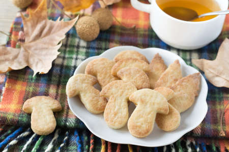 Cookies in the form of mushroomsの写真素材
