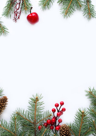 Fir tree branches on white backgroundの写真素材