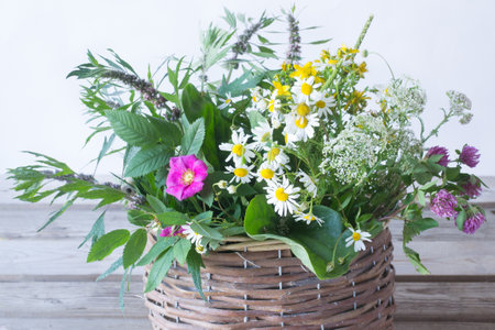 Healing herbs in basket on wooden backgroundの写真素材