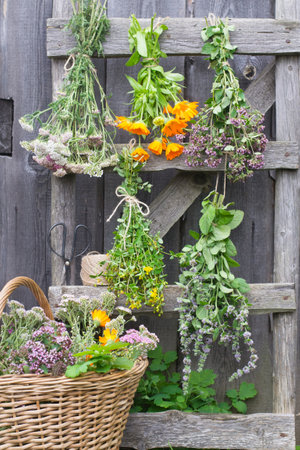 Herbs and flowers in a wicker basket on an old wooden ladderの写真素材