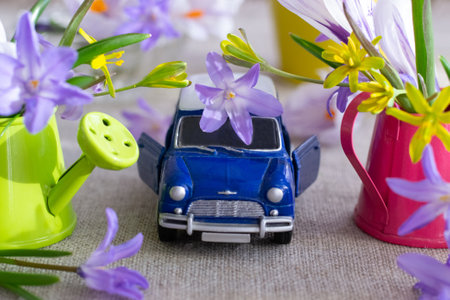 Spring still life with crocus flowers and a blue toy car.の写真素材