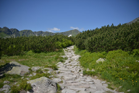 Tatras mountains, valley, tourism, trail, TPN, Poland, landscape, Mountains in the Carpathians, Europe. Beauty world, summer time. National Park, The Valley of Five Polish Ponds,の写真素材