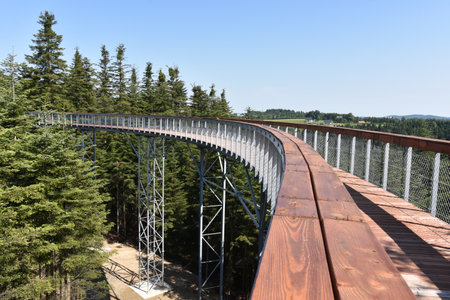 Path in the Crowns of Trees in Ciezkowice, wooden construction, opening of a new investment July 2023, Malopolska, Polandのeditorial素材