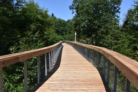 Path in the Crowns of Trees in Ciezkowice, wooden construction, opening of a new investment July 2023, Malopolska, Polandのeditorial素材