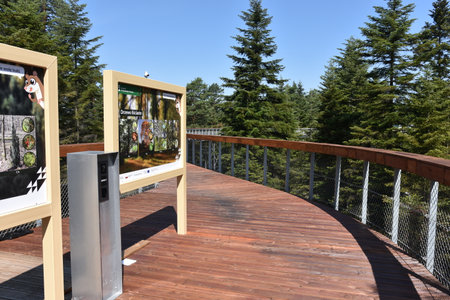 Path in the Crowns of Trees in Ciezkowice, wooden construction, opening of a new investment July 2023, Malopolska, Polandのeditorial素材