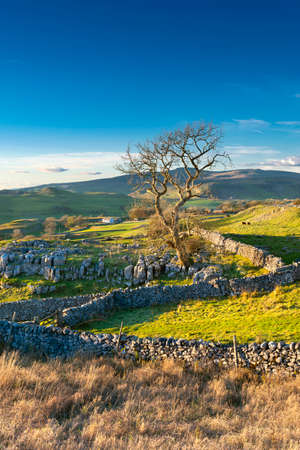 Winskill Stones Nature Reserve above the village of Stainforth, Settle, yorkshire dales