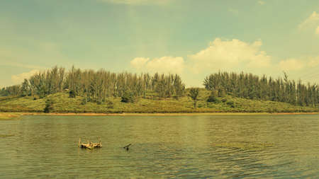Beautiful Landscape view of Sandynulla Lake from pine forest, Ooty, Tamilnadu, India. Favourite...