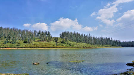 Beautiful Landscape view of Sandynulla Lake from pine forest, Ooty, Tamilnadu, India. Favourite...