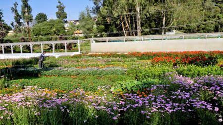 Ooty,Tamilnadu,India-April 30 2022: Beautiful Government botanical gardens in Ooty, Tamilnadu, India. Home to more than 1000 species.のeditorial素材