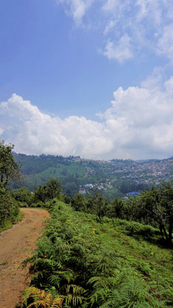 Beautiful scenic view of forest road with City view of kodiakanal in background. Mobile format portrait wallpaper imagesの写真素材