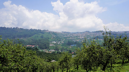 Beautiful Landscape scenic urbanized residential area made up of cottage houses view popularly known as city view of Queen of Hills. Amazing view of housing units located at the top of Kodikanal hill top.の写真素材
