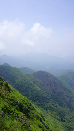 Beautiful dense green lush landscapes of kodaikanal hillstation filled with mist and cloudy sky....