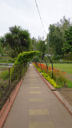 Beautiful scenic garden of Kodaikanal Bryant Park. One of the must visit place in Queen of Hills Kodaikanal for lush greenery and flowersの写真素材