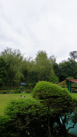 Beautiful scenic garden of Kodaikanal Bryant Park. One of the must visit place in Queen of Hills Kodaikanal for lush greenery and flowersの写真素材