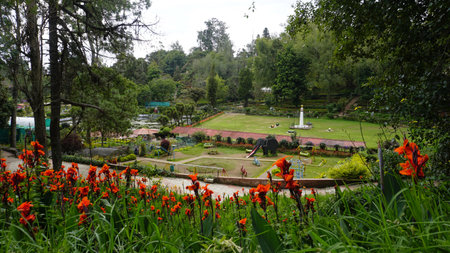 Beautiful scenic garden of Kodaikanal Bryant Park. One of the must visit place in Queen of Hills Kodaikanal for lush greenery and flowersの写真素材