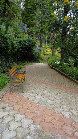 Beautiful scenic garden of Kodaikanal Bryant Park. One of the must visit place in Queen of Hills Kodaikanal for lush greenery and flowersの写真素材