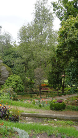 Beautiful scenic garden of Kodaikanal Bryant Park. One of the must visit place in Queen of Hills Kodaikanal for lush greenery and flowersの写真素材