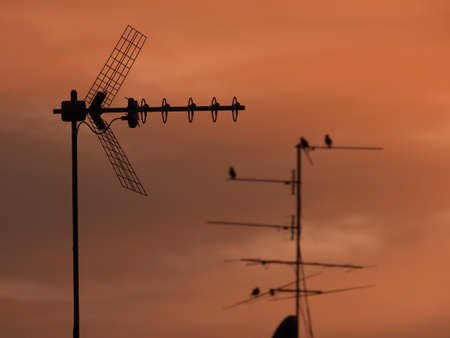 TV antennas at sunsetの写真素材