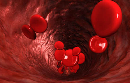 A macro closeup of a blood vein with red blood cells flowing through itの写真素材
