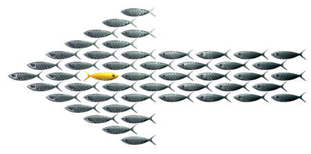 A perspective view of a school of stylized silvery fish swimming in the shape of an arrow with a...