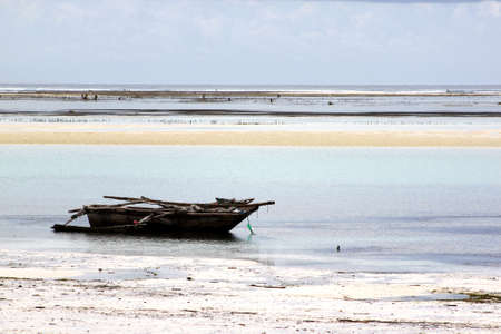 Traditional dhow sail boats run aground at low tide alongside a sandy white beach in Zanzibar