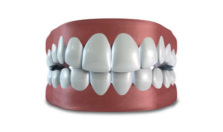 Seperated upper and lower sets of human teeth set in gums on an isolated background