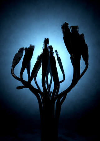 A bouquet collection of ethernet plugs with chords bundled together and spread out at the ends...