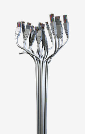 A bouquet collection of ethernet plugs with chords bundled together and spread out at the ends...