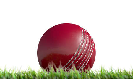 A low upward view of a regular leather cricket ball resting on green grass on an isolated white background - 3D renderの写真素材