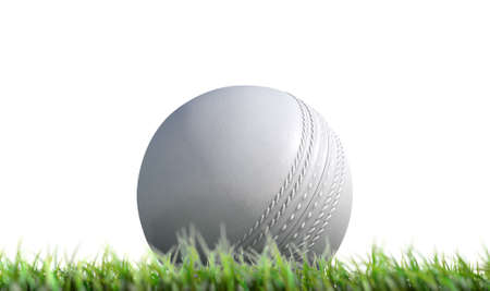 A low upward view of a regular leather cricket ball resting on green grass on an isolated white background - 3D renderの写真素材