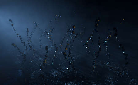 An abstract view of plant like forms made up of glossy black cubes growing out of a dark black sci...