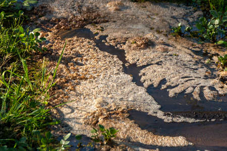 A side view of foam scum floating on top of water at the bottom of a flowing riverの写真素材