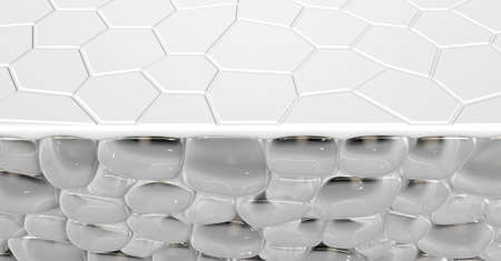 A cross section scientific view of a skins top layer and eperdermis cells sub layer beneath it on an...