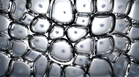 A cross section scientific view of eperdermis cells sub layer beneath skin on an isolated background - 3D renderの写真素材