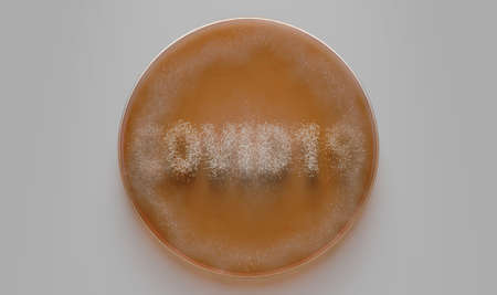 A concept showing fungi growing in an orange medium in a petri dish spelling out the word covid-19 -...