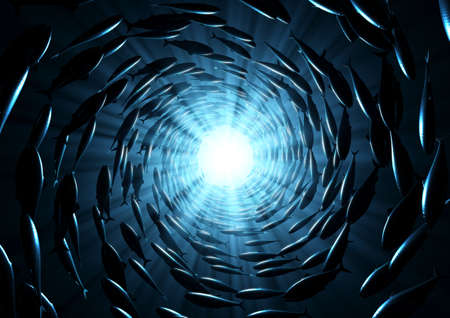 A concept underwater view of a perfect spiral of fish swimming in circles towards a light on the...