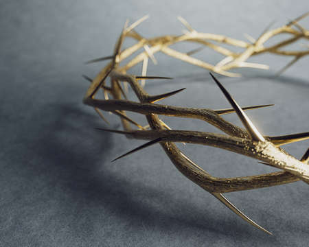 Branches of thorns made of gold woven into a crown depicting the crucifixion casting a shadow on a soft studio background - 3D renderの写真素材