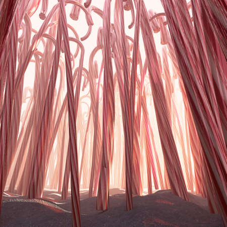 A fantastical concept a pathway through a forest made out of thousands of candy canes on a warm sunrise background - 3D renderの写真素材