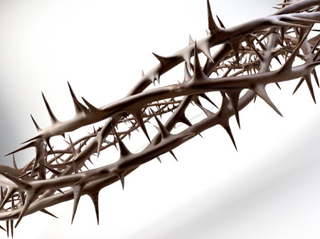 Branches of thorns woven into a crown depicting the crucifixion - 3D renderの写真素材
