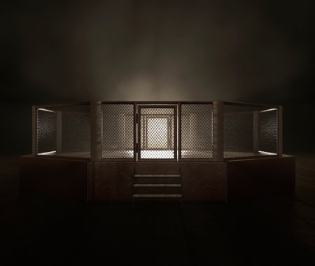 A modern MMA ring backlit by a bright spotlight on a dark and ominous isolated background - 3D renderの写真素材